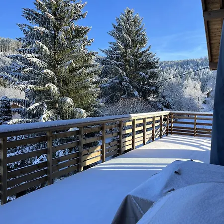 Les Primeveres Chalet *